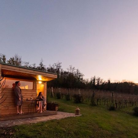 Agriturismo Terre Bianche Teolo Eksteriør bilde