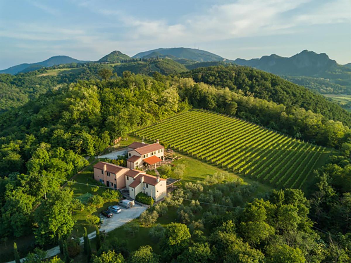 Agriturismo Terre Bianche Teolo Eksteriør bilde