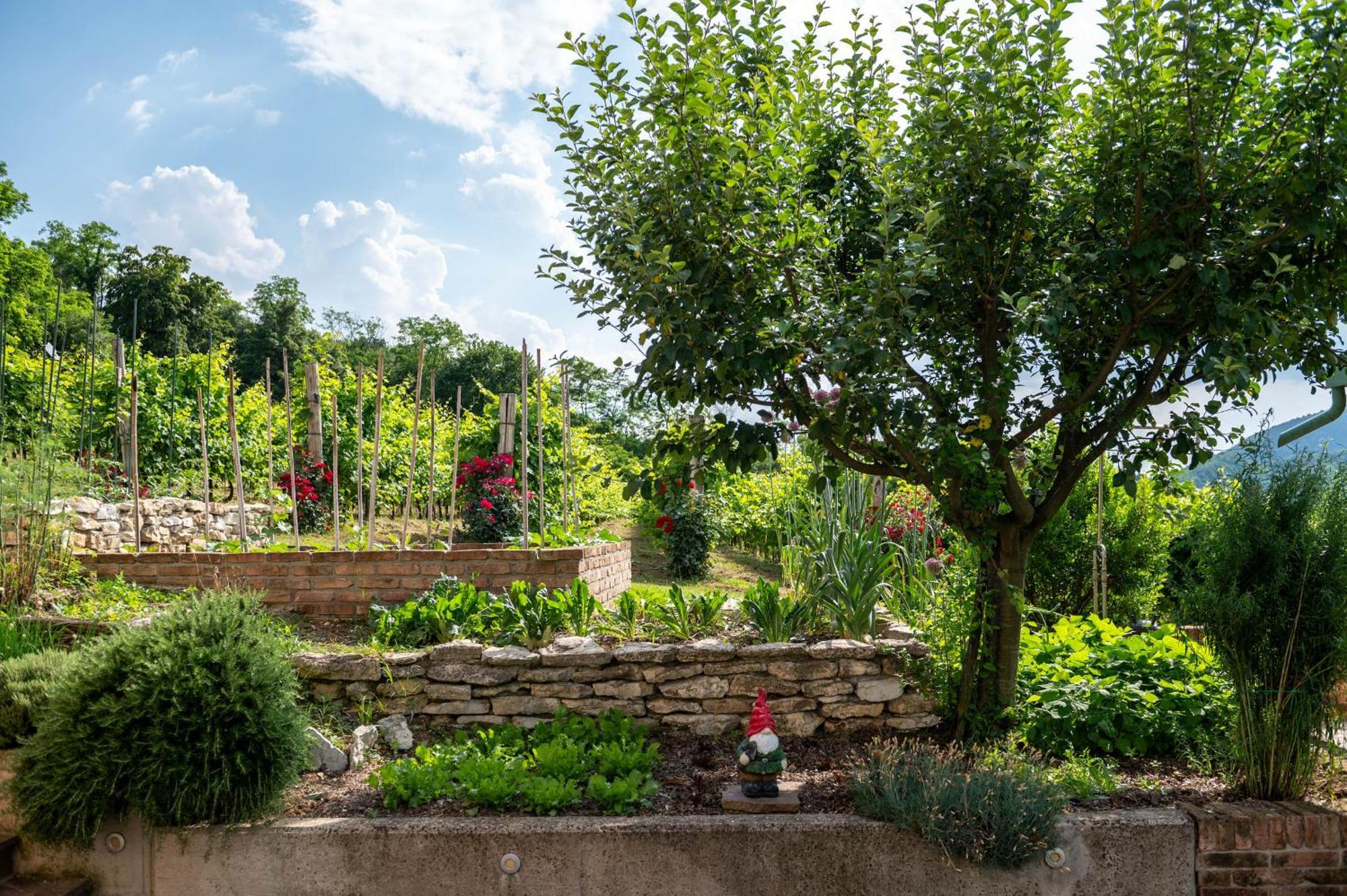 Agriturismo Terre Bianche Teolo Eksteriør bilde