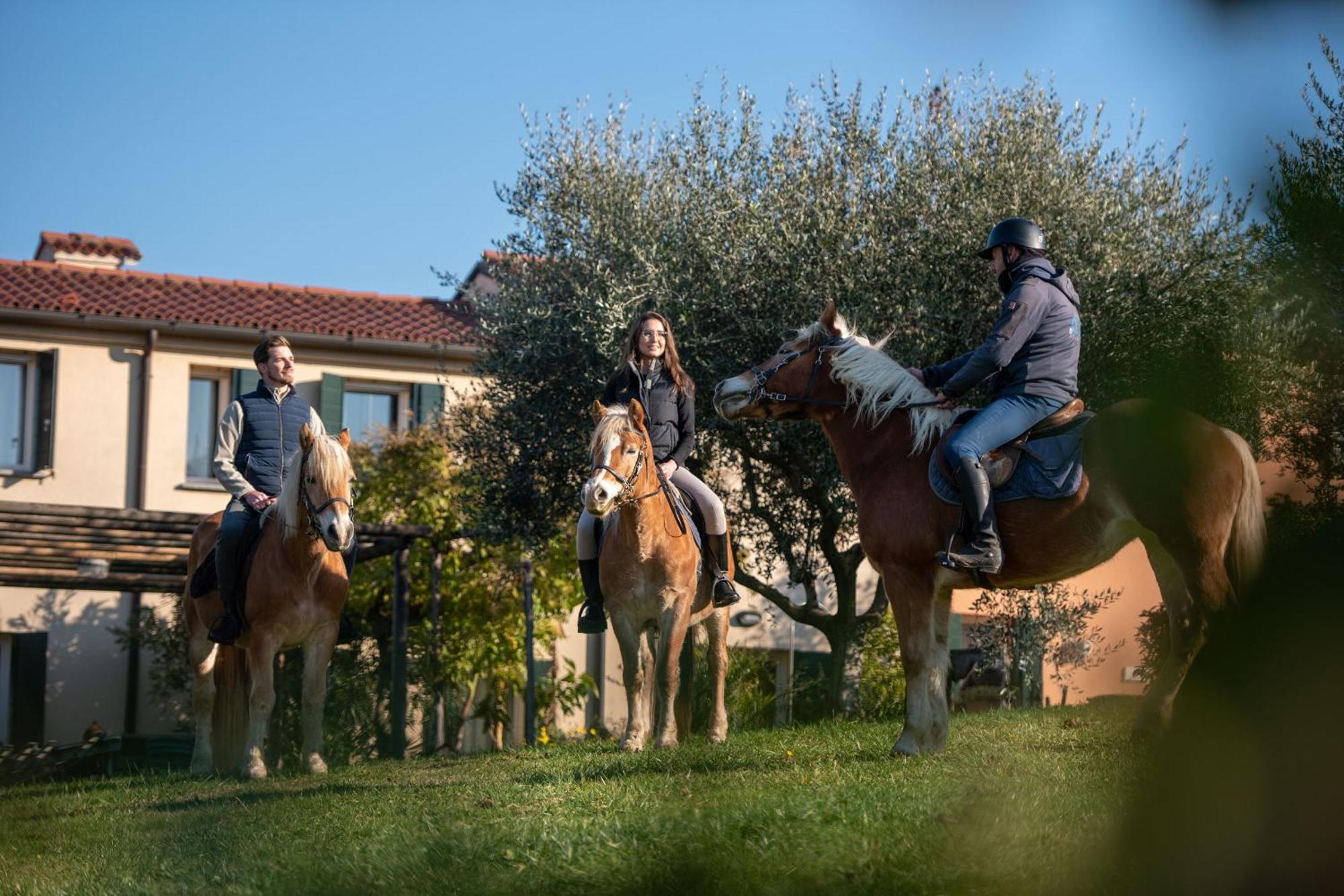 Agriturismo Terre Bianche Teolo Eksteriør bilde